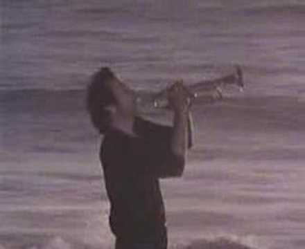 Youtube: Herb Alpert - Rise