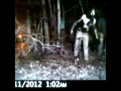 Youtube: Real Creepy and unexplainable Trail cam photos