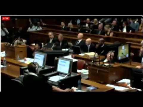 Youtube: Oscar Pistorius Trial. Day 2. Part 3