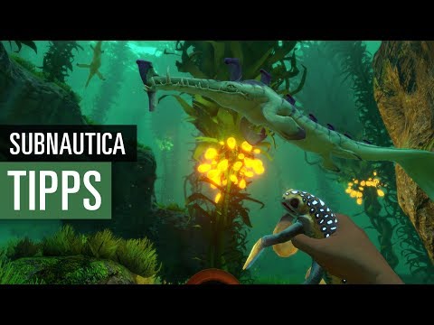 Youtube: Subnautica - Die wichtigsten Anfängertipps