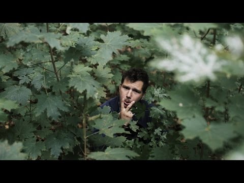 Youtube: MC Bomber - Schenk ner Frau ein Baum