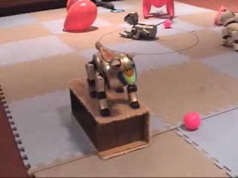 Youtube: AIBO Climbs Down Stairs