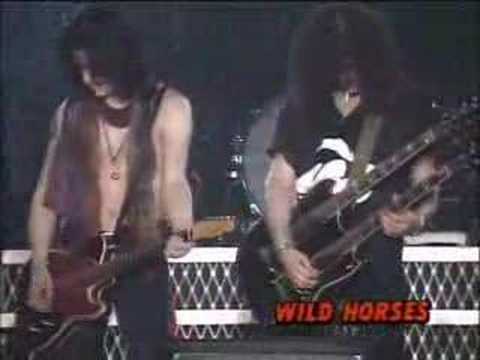 Youtube: Wild Horses - Guns N Roses