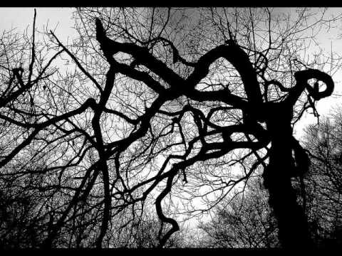 Youtube: Life Of Agony - Angry Tree