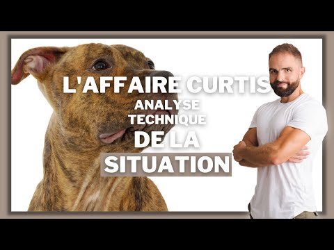 Youtube: L'affaire Curtis - Analyse technique de la situation