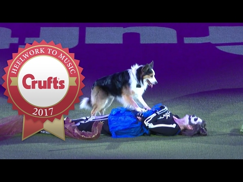 Youtube: Freestyle Heelwork To Music Competition Winner | Crufts 2017