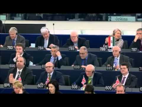 Youtube: Martin Schulz  greift durch: Null Toleranz für Rassismus im Europaparlament