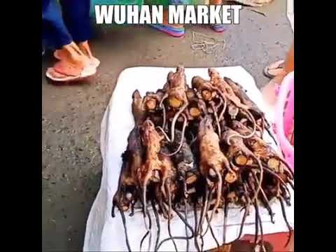 Youtube: Wuhan Market