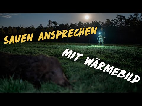 Youtube: Mit Wärmebild richtig ansprechen