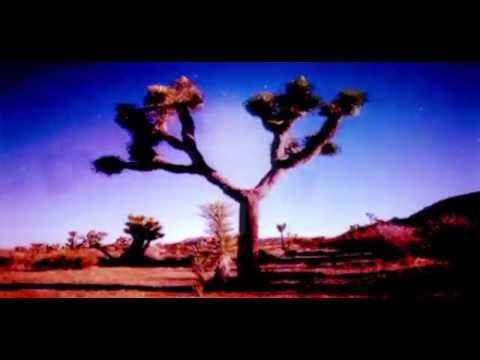 Youtube: Moby - Almost Home (with Damien Jurado) (Sebastien Remix)
