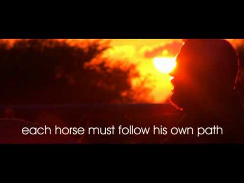 Youtube: Moments Like This - The Horse Seeks Me - Book trailer