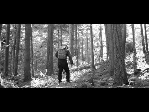 Youtube: Sam Weber - August