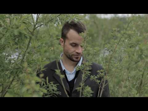 Youtube: Schwindelfrei /// Umberto Ghetto, FLIP
