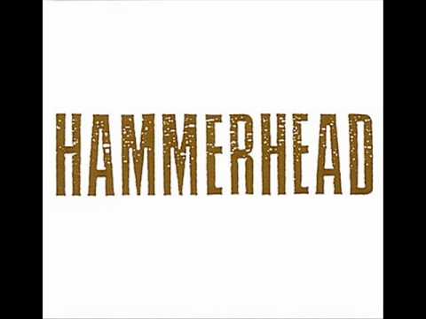 Youtube: Hammerhead - Spinne