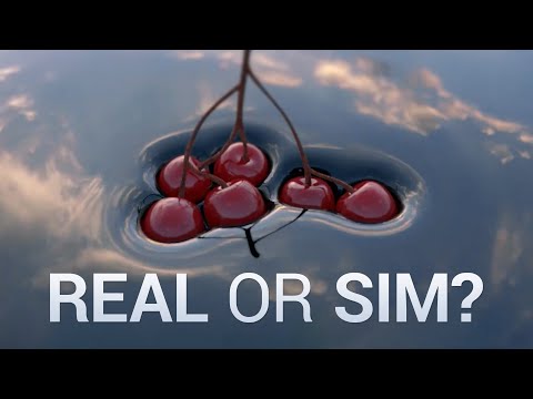 Youtube: A Simulation That Looks Like Reality! 🤯