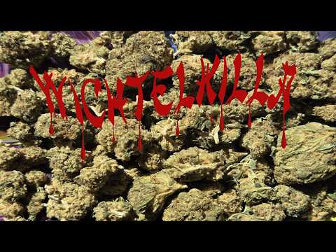 Youtube: Gruene Brille
