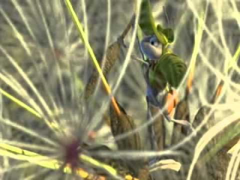 Youtube: Pixar   Bugs Life Bloopers