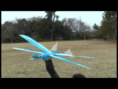 Youtube: Tetrapteron12-1 of Avatar : Good Flight & Gliding 2