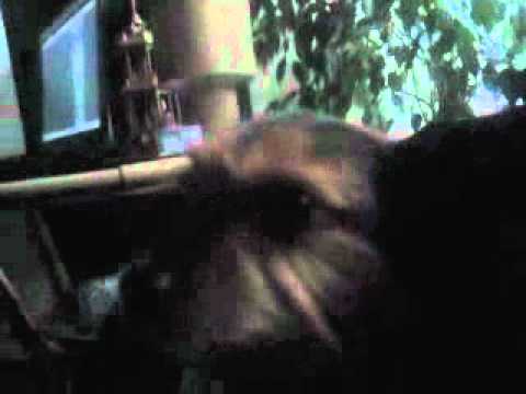 Youtube: Mein Hund macht (wieder) komische  Geräusche <i class=