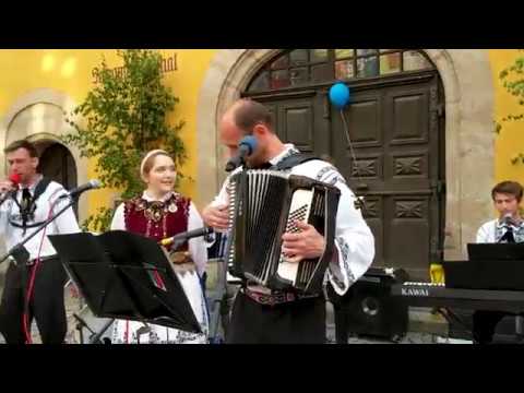 Youtube: "Rote, rote Rosen blühn im Garten" - Singen vor der Schranne in Dinkelsbühl