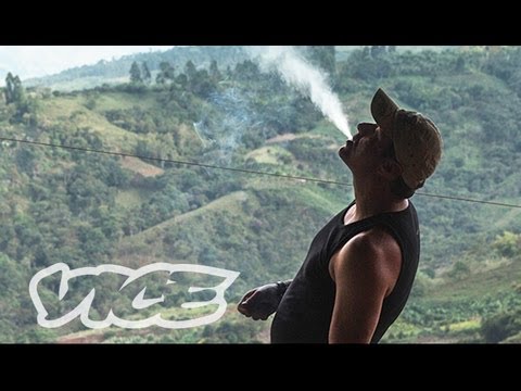 Youtube: Kings of Cannabis | WEEDIQUETTE
