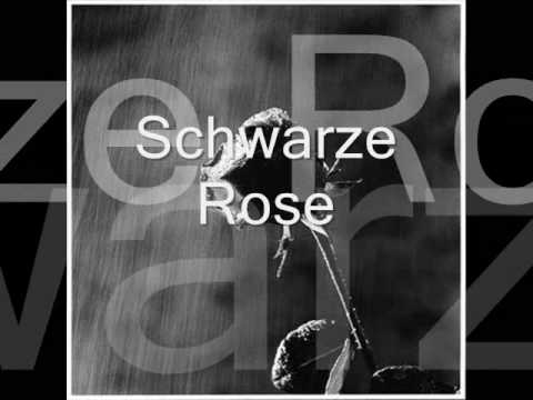 Youtube: IBO - Schwarze Rose