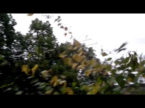 Youtube: Blitzeinschlag hautnah