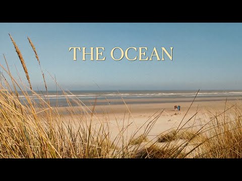 Youtube: Barnill Brothers - The Ocean (Official Video)