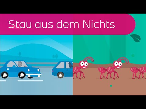 Youtube: Stau aus dem Nichts in 3 Minuten erklärt