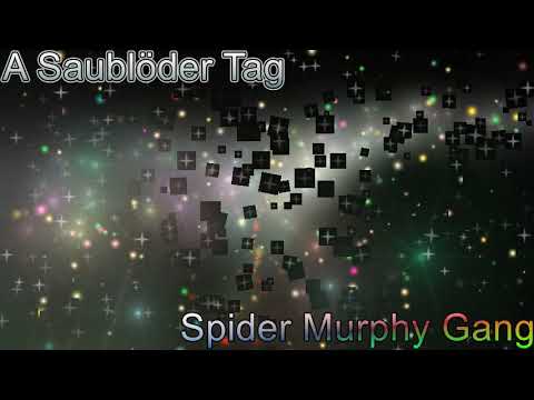 Youtube: Rockclassics: Spider Murphy Gang - A Saublöder Tag