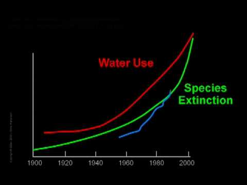 Youtube: Crash Course: Ch. 3 - Exponential Growth & Ch. 4 - The Power of Compounding by Chris Martenson