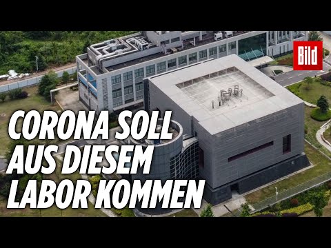 Youtube: Hamburger Professor sicher: „Corona kam aus einem Labor in Wuhan!“