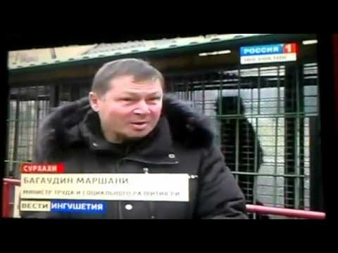 Youtube: В Ингушетии поймали снежного человека (йети)