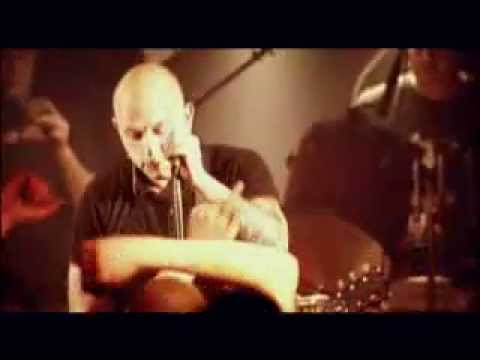 Youtube: Loikaemie - Skinhead bist du nicht! :: DVD Clip