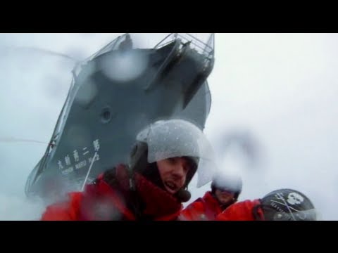Youtube: Whale Wars - Kampf auf See