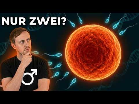 Youtube: Warum die Evolution nur zwei Geschlechter schaffte – nicht mehr, nicht weniger