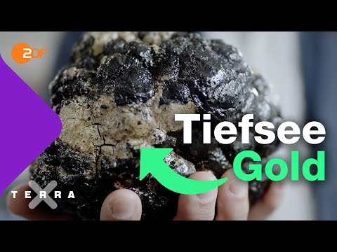 Youtube: Superknolle Mangan - Rohstoffschatz am Meeresboden? | Terra X plus