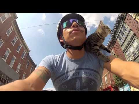 Youtube: My cat can ride a bike better than you can