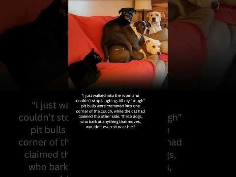 Youtube: Don’t Look at Her, Just Don’t