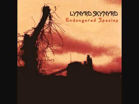 Youtube: Lynyrd Skynyrd   Devil In The Bottle