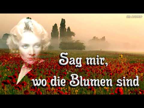Youtube: Sag mir, wo die Blumen sind ☮ [Anti war song][+English translation]
