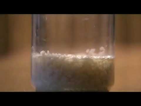 Youtube: Water Documentary - Masaru Emoto's Rice Experiment.flv