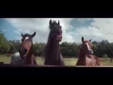 Youtube: Werbung VW Tiguan lachende Pferde Trailer Assist