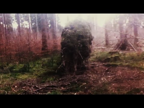 Youtube: Strange creature in the woods? what is this?
