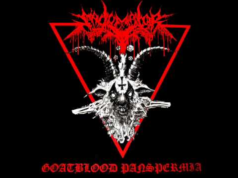 Youtube: SADOMATOR - Bleeding in eternal pentagrams