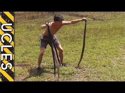 Youtube: Catching Wild Rabbits using Snakes: BAREHANDED Rabbit Catch