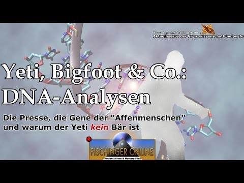 Youtube: Yeti, Bigfoot und Co: DNA Analysen veröffentlicht und warum der Yeti KEIN Bär ist!