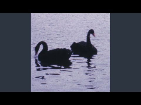 Youtube: Helles Licht/ Dunkler Raum