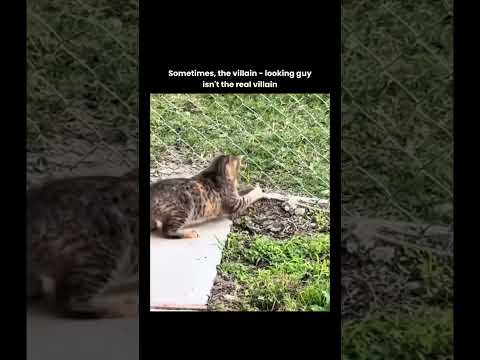 Youtube: Isn't The Real Villan #motivation #shortsvideo #shortsviral #youtubeshorts #shorts #youtube