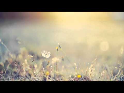 Youtube: Claes Rosen - Into The Bloom (Luiz B Remix)